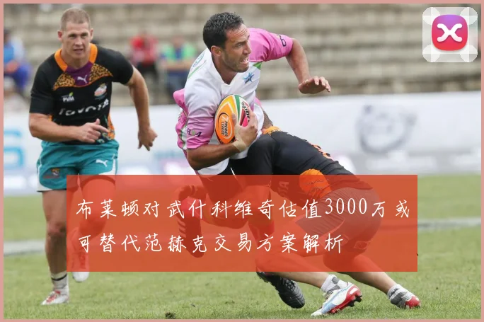 布莱顿对武什科维奇估值3000万或可替代范赫克交易方案解析